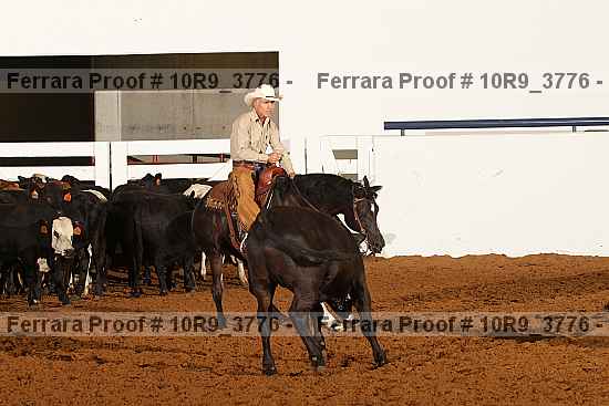 Proof Number 10r9_3776