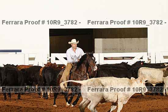 Proof Number 10r9_3782