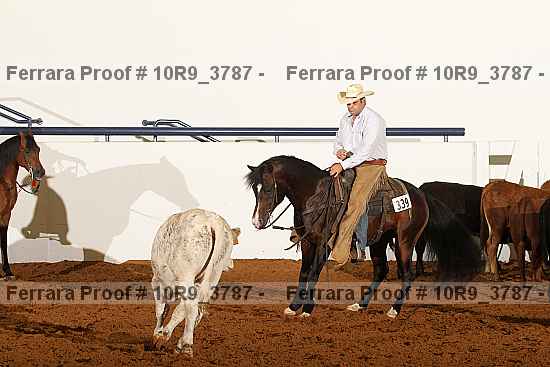 Proof Number 10r9_3787