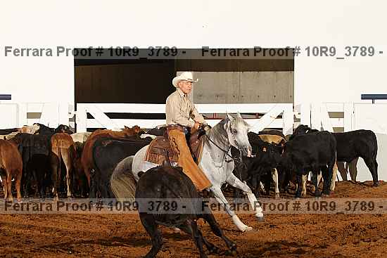 Proof Number 10r9_3789