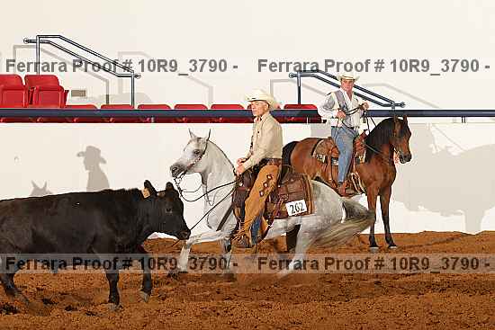 Proof Number 10r9_3790
