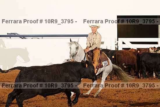 Proof Number 10r9_3795