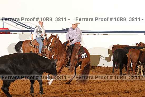 Proof Number 10r9_3811