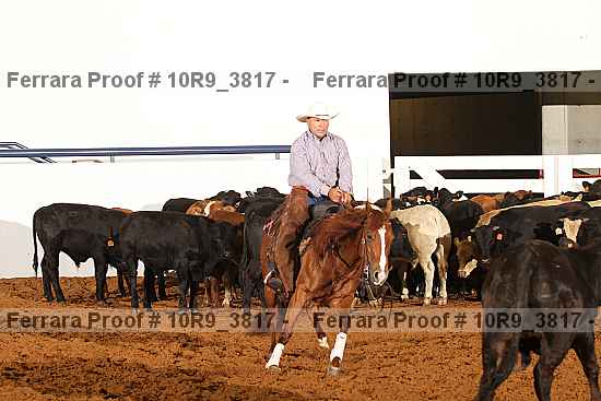 Proof Number 10r9_3817