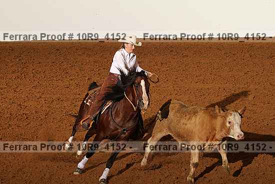 Proof Number 10r9_4152