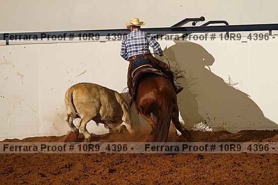 Proof Number 10r9_4396