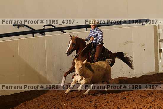 Proof Number 10r9_4397