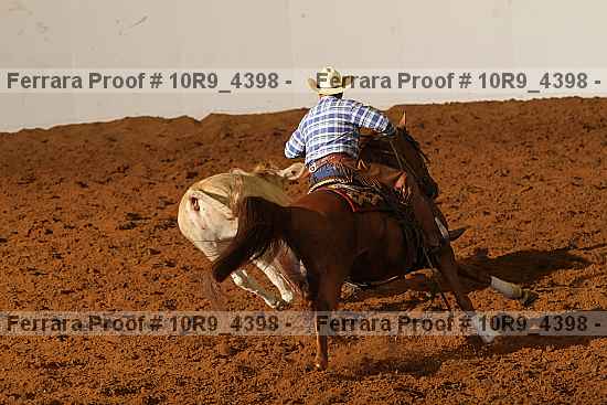 Proof Number 10r9_4398