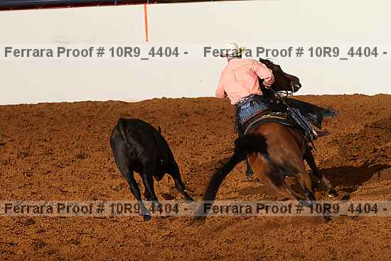 Proof Number 10r9_4404