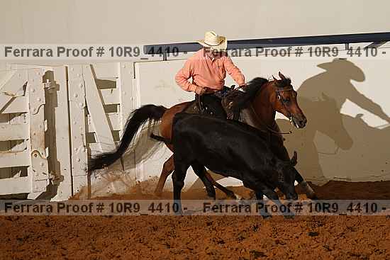 Proof Number 10r9_4410