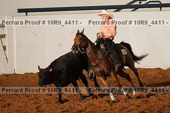 Proof Number 10r9_4411