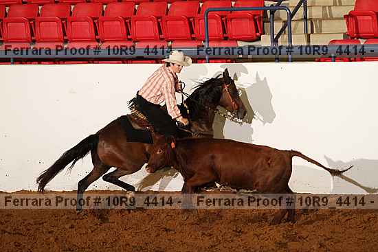 Proof Number 10r9_4414
