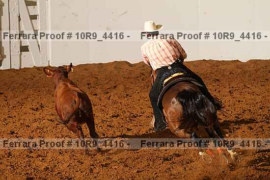 Proof Number 10r9_4416