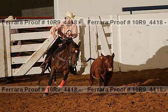 Proof Number 10r9_4418