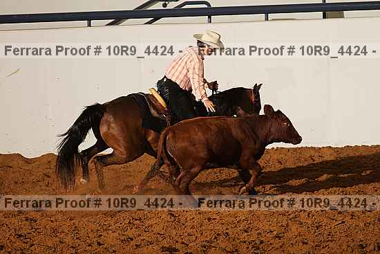 Proof Number 10r9_4424