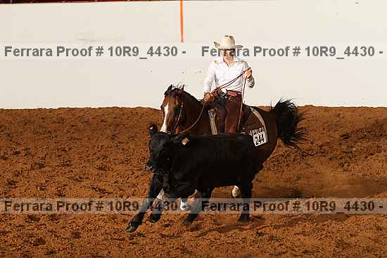 Proof Number 10r9_4430