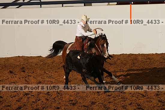 Proof Number 10r9_4433