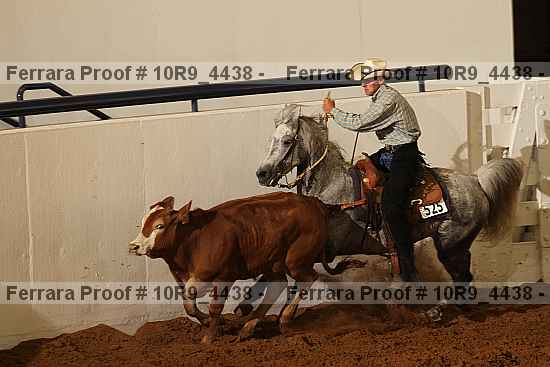 Proof Number 10r9_4438