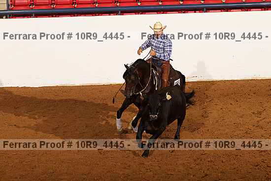 Proof Number 10r9_4445