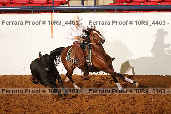 Proof Number 10r9_4463