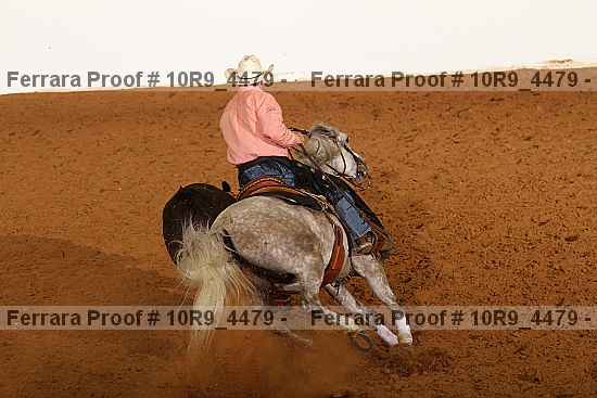 Proof Number 10r9_4479