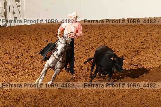 Proof Number 10r9_4482