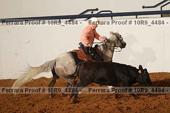 Proof Number 10r9_4484