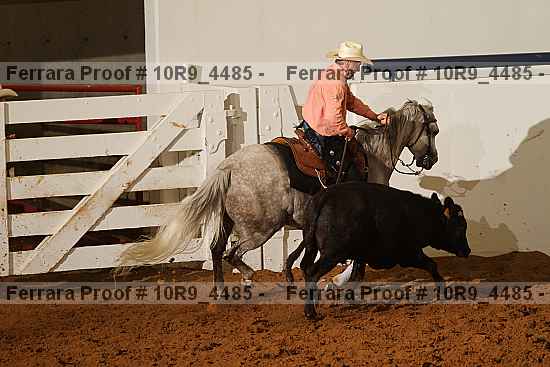 Proof Number 10r9_4485