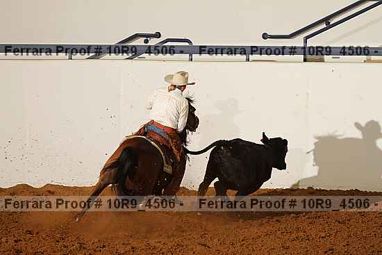 Proof Number 10r9_4506