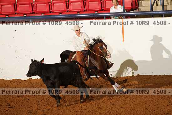 Proof Number 10r9_4508