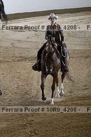 Proof Number 10r9_4208