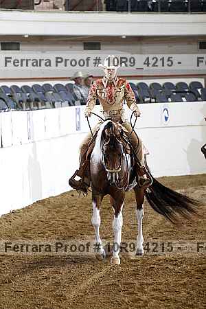 Proof Number 10r9_4215