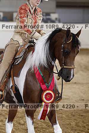 Proof Number 10r9_4220