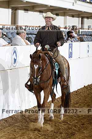 Proof Number 10r9_4232