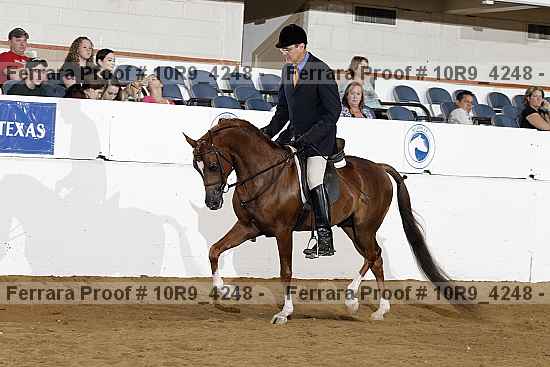 Proof Number 10r9_4248