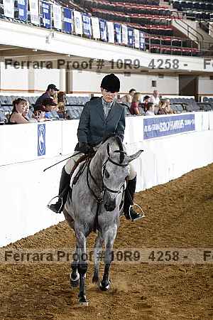 Proof Number 10r9_4258
