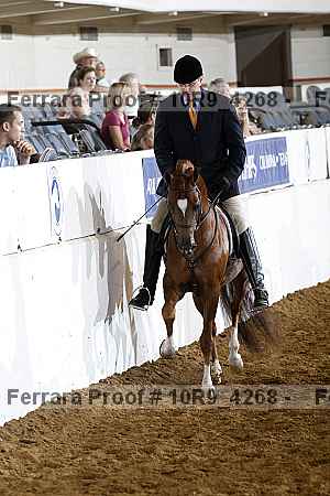 Proof Number 10r9_4268