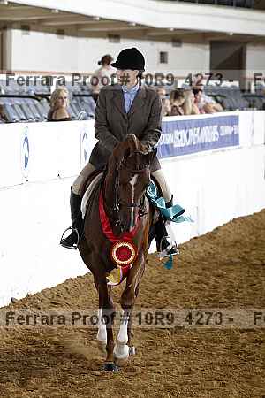 Proof Number 10r9_4273