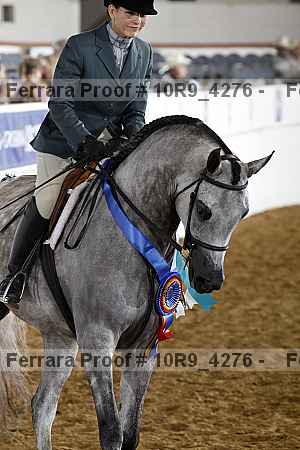 Proof Number 10r9_4276