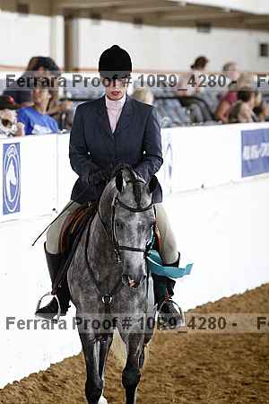 Proof Number 10r9_4280