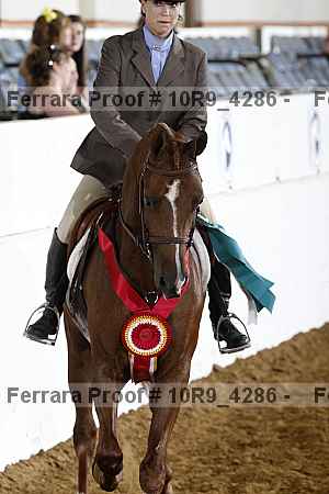 Proof Number 10r9_4286
