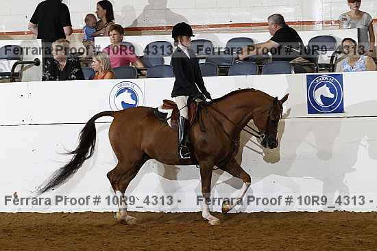 Proof Number 10r9_4313