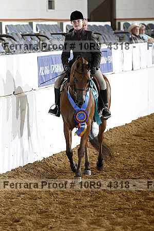 Proof Number 10r9_4318