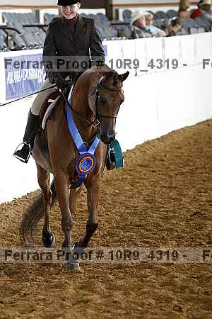 Proof Number 10r9_4319