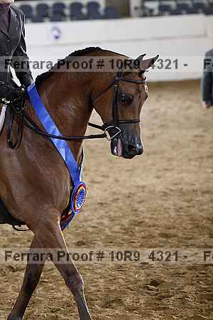 Proof Number 10r9_4321