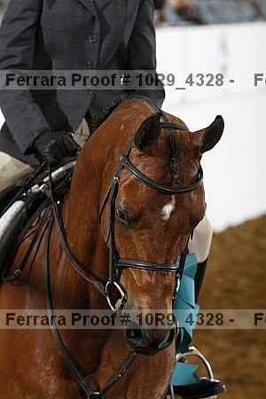 Proof Number 10r9_4328