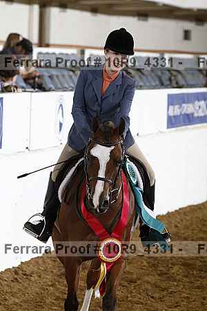 Proof Number 10r9_4331