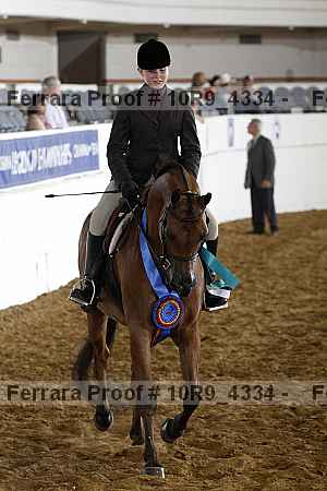 Proof Number 10r9_4334