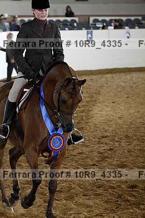 Proof Number 10r9_4335