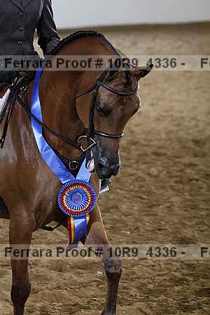 Proof Number 10r9_4336